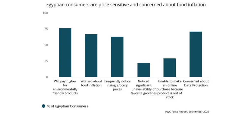Preparing for EGP depreciation - a chart that reads 'Egyptian consumers are price sensitive and concerned about food inflation"